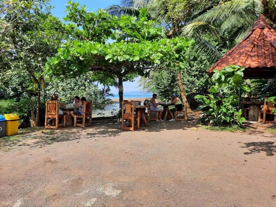 Bed and Breakfast Casa El Tortugo Drake Bay Zewnętrze zdjęcie