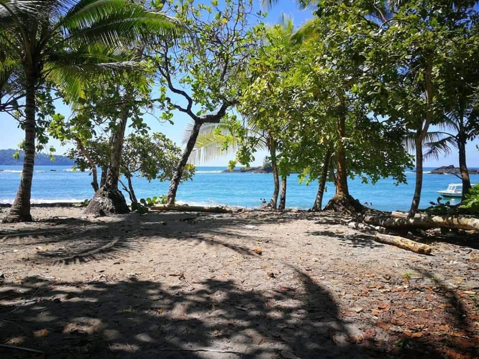 Bed and Breakfast Casa El Tortugo Drake Bay Zewnętrze zdjęcie