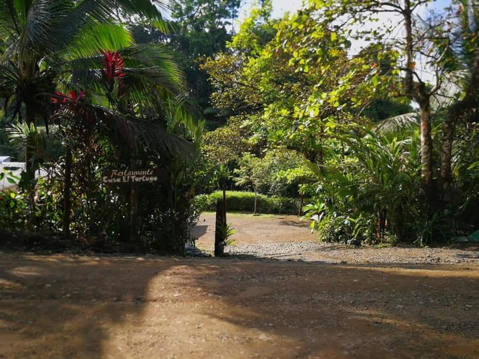 Bed and Breakfast Casa El Tortugo Drake Bay Zewnętrze zdjęcie