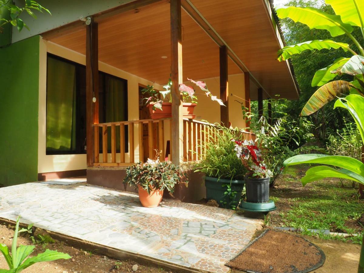 Bed and Breakfast Casa El Tortugo Drake Bay Zewnętrze zdjęcie